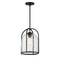 Maxim Lighting Foundry 1-Light Pendant, Black 30194CDBK - alternate 1